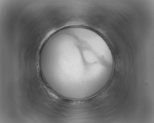 X0000064041366200602171633