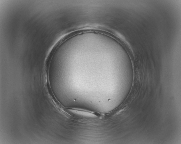 X0000064041368200602171633