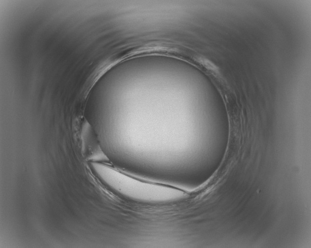 X0000064041369200602171633