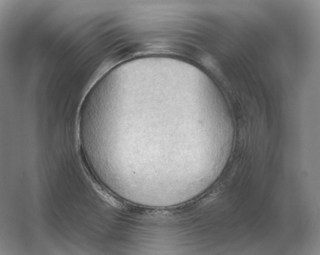 X0000064041370200602171633