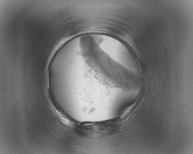 X0000064041371200602171633