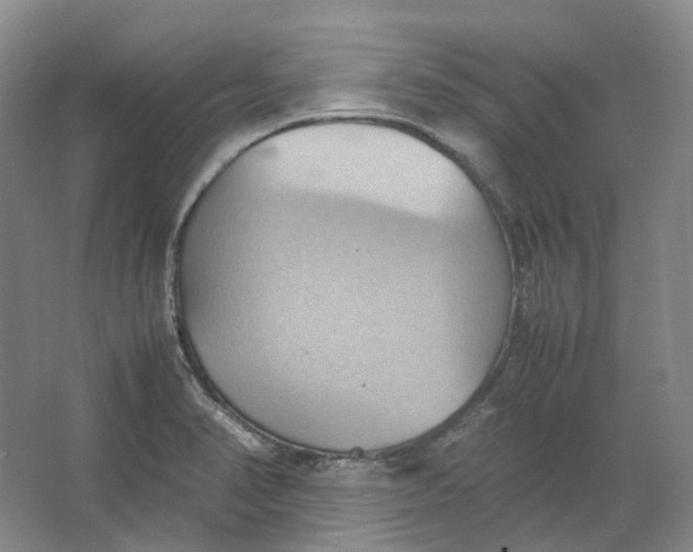 X0000064041374200602171633