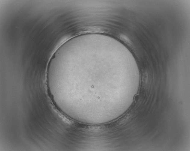 X0000064041378200602171633