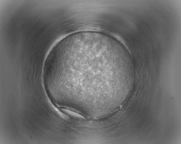 X0000064041379200602171633