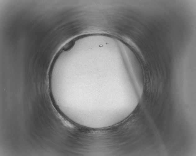 X0000064041380200602171633