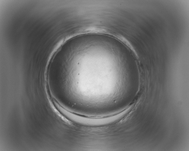 X0000064041381200602171633