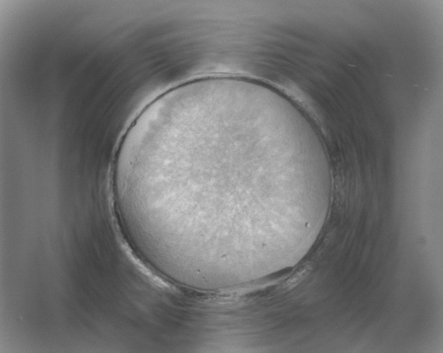 X0000064041382200602171633