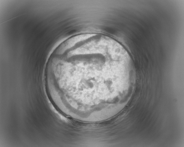 X0000064041387200602171633