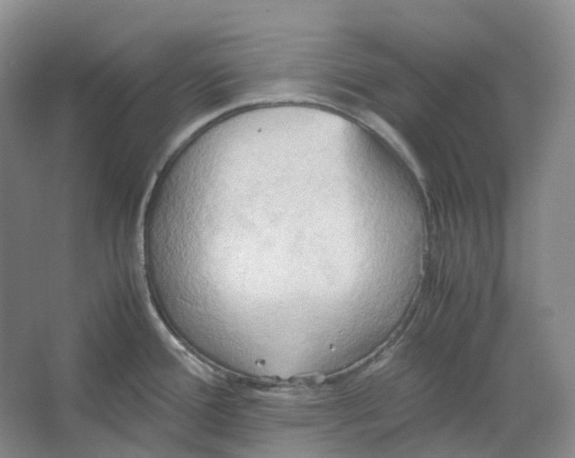 X0000064041388200602171633