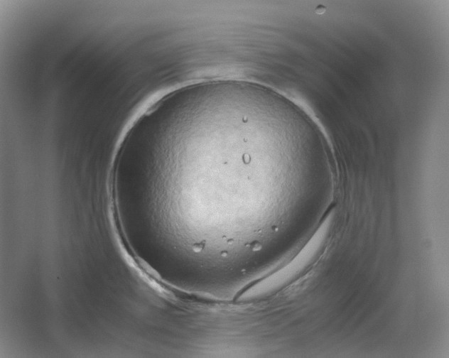 X0000064041389200602171633