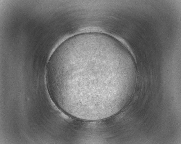 X0000064041390200602171633