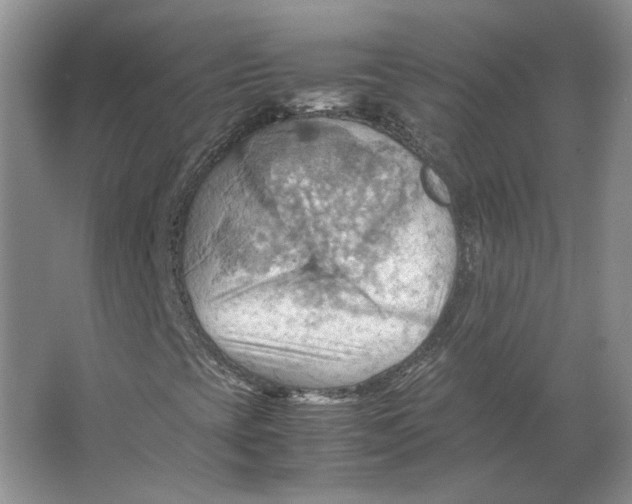 X0000064041393200602171632