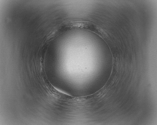 X0000064041394200602171632