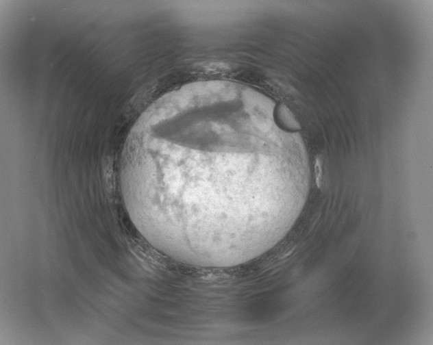 X0000064041395200602171632