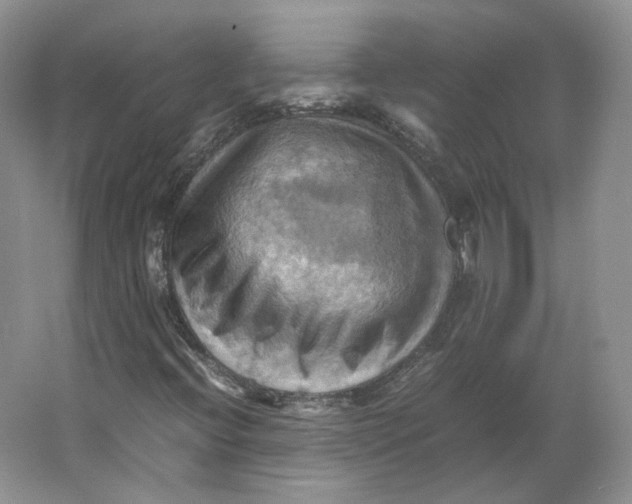 X0000064041396200602171632