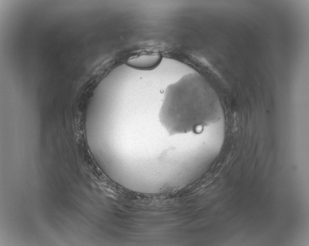 X0000064041399200602171632