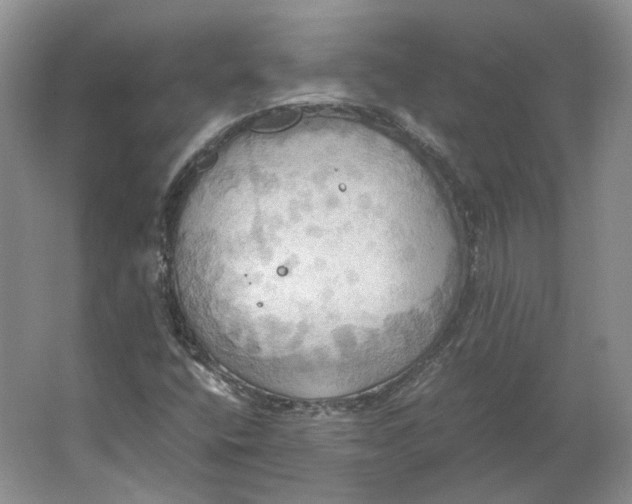 X0000064041400200602171632