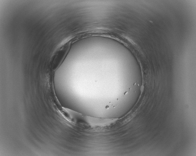 X0000064041402200602171632