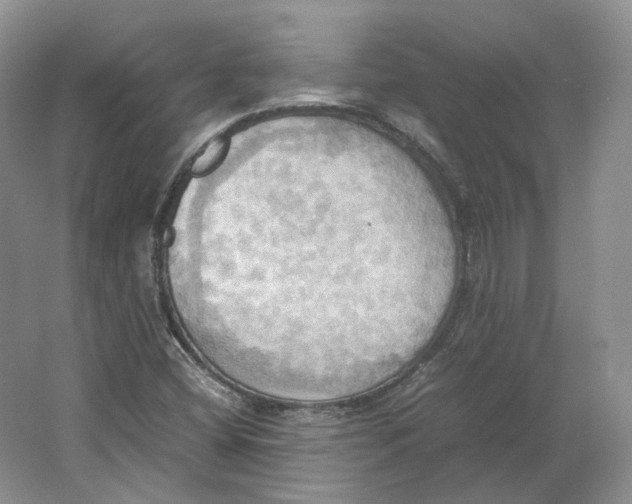 X0000064041404200602171632