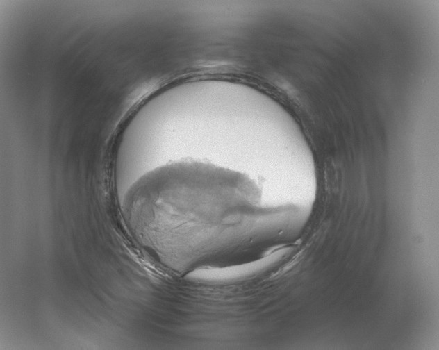 X0000064041405200602171632