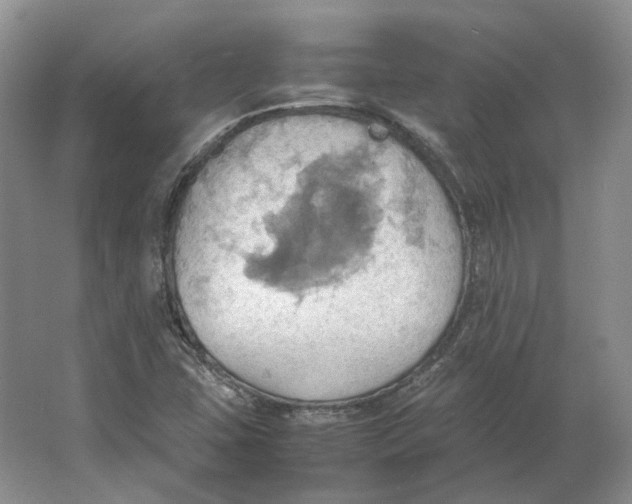 X0000064041407200602171632