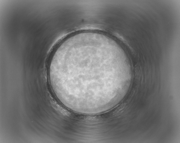 X0000064041408200602171632