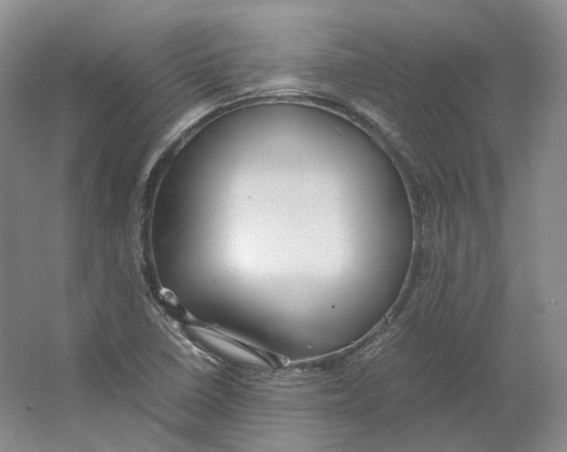 X0000064041410200602171632