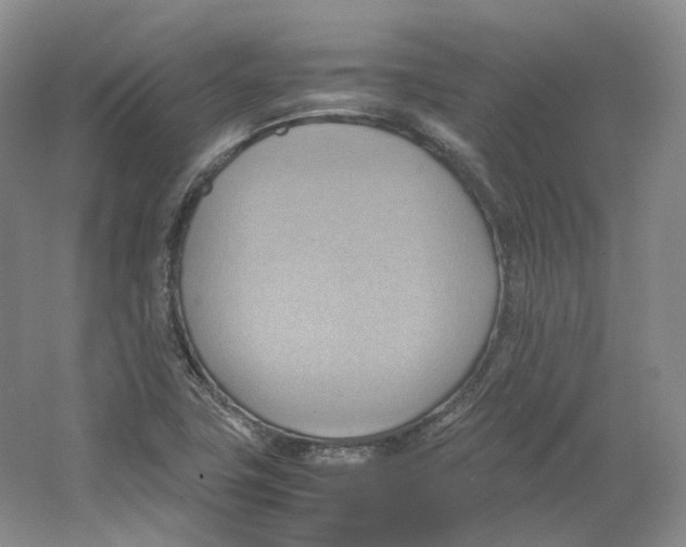 X0000064041411200602171632