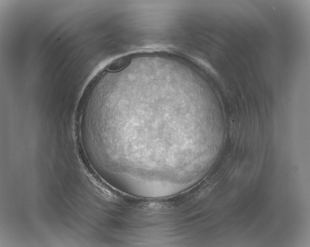 X0000064041412200602171632