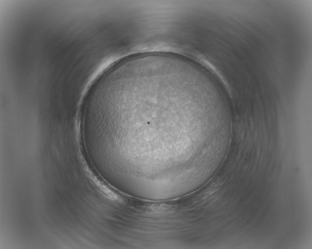 X0000064041416200602171632