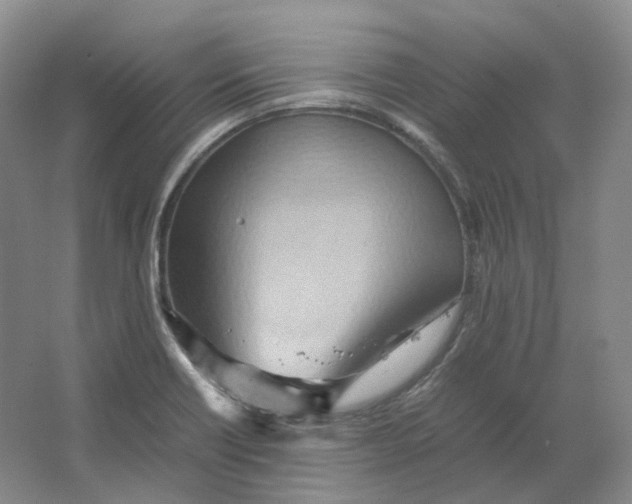 X0000064041418200602171632