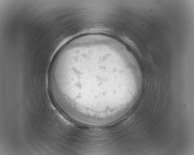 X0000064041420200602171632