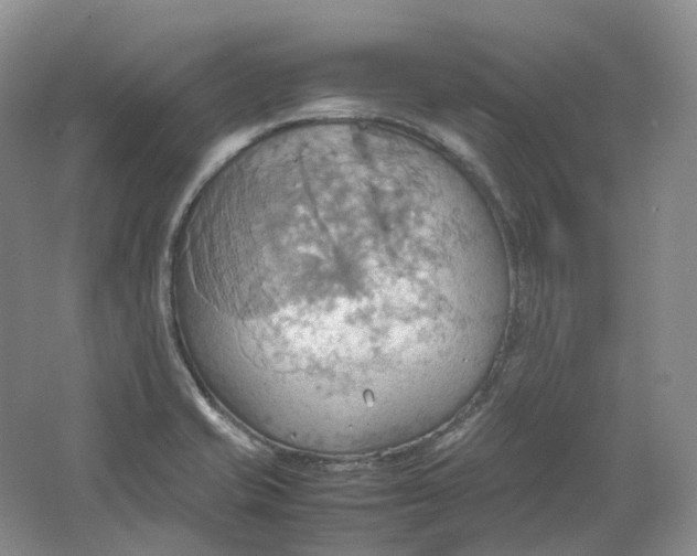 X0000064041421200602171632