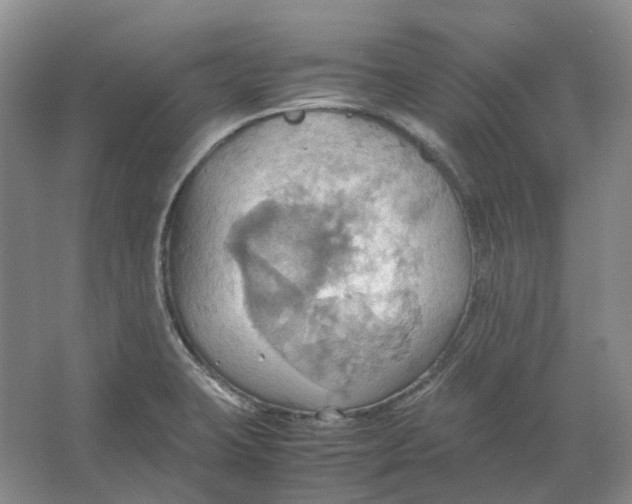 X0000064041423200602171632