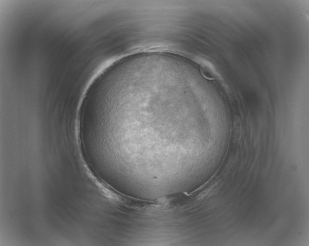 X0000064041424200602171632