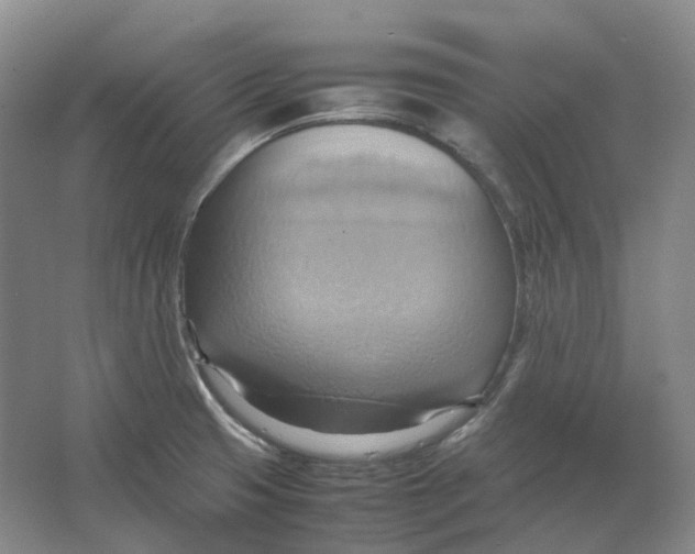 X0000064041425200602171632