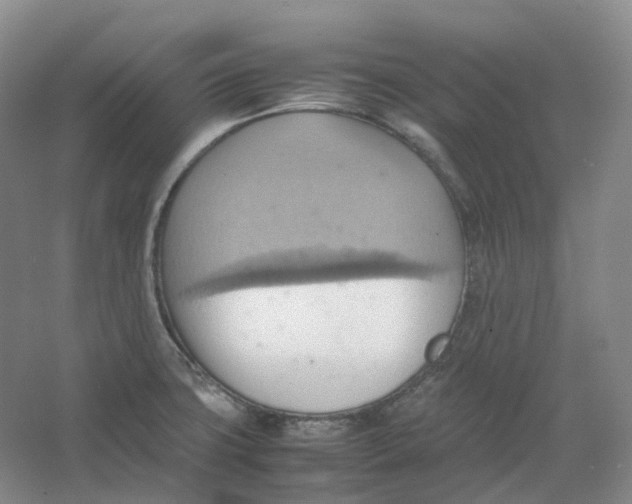 X0000064041427200602171632