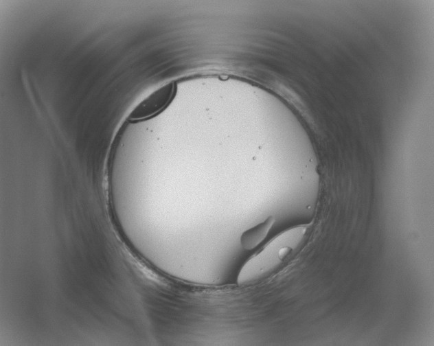 X0000064041428200602171632