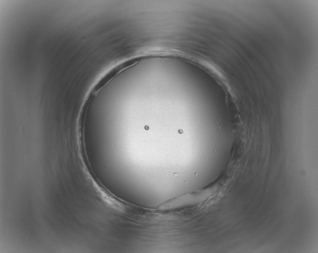 X0000064041430200602171632