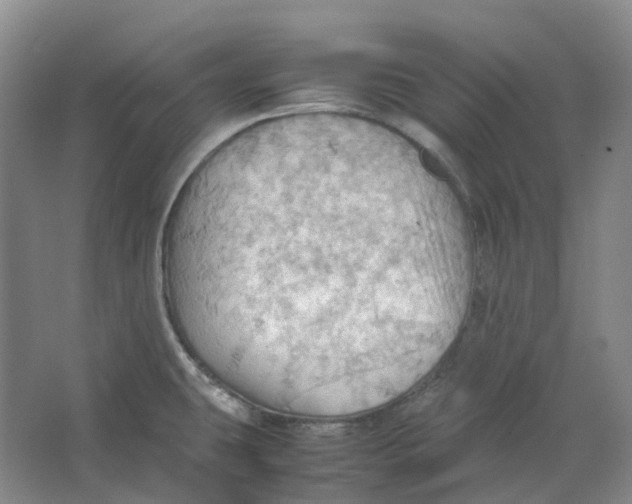 X0000064041431200602171632