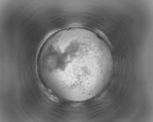 X0000064041435200602171632