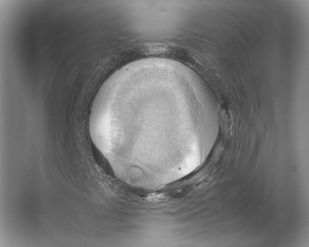 X0000064041441200602171632