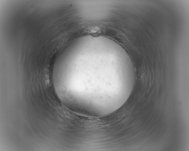 X0000064041442200602171632