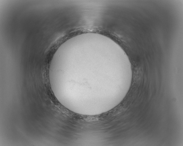 X0000064041446200602171632