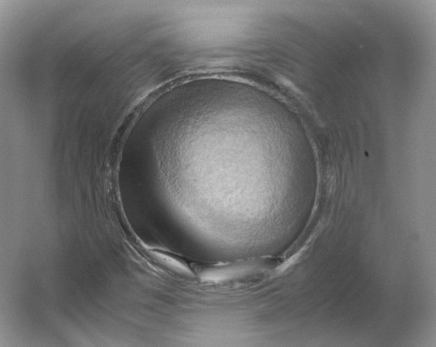 X0000064041449200602171632