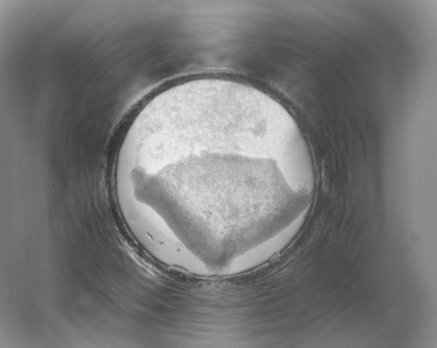 X0000064041452200602171632