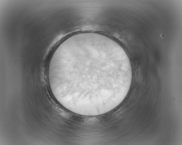 X0000064041454200602171632