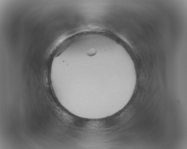 X0000064041455200602171631