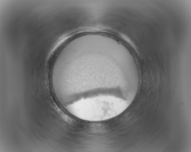 X0000064041456200602171631