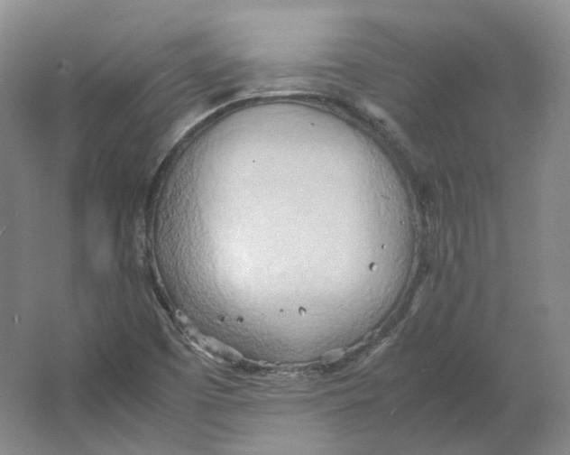 X0000064041457200602171631